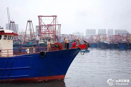 爆料渔船视频大全下载免费,免费下载渔船视频大全,尽享海洋魅力 第3张 爆料渔船视频大全下载免费,免费下载渔船视频大全,尽享海洋魅力 第3张