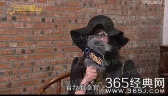 赵四爆料最新视频,娱乐圈幕后真相大曝光! 第2张 赵四爆料最新视频,娱乐圈幕后真相大曝光! 第2张